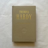 Thomas Hardy - Jude nestiutul
