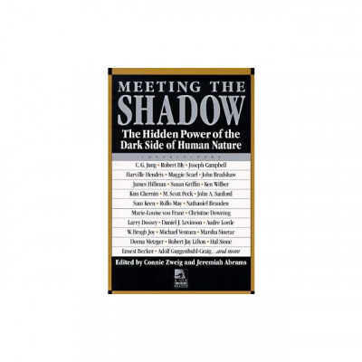 Meeting the Shadow foto