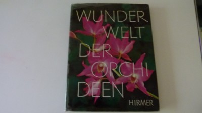 Lumea Orhideelor foto