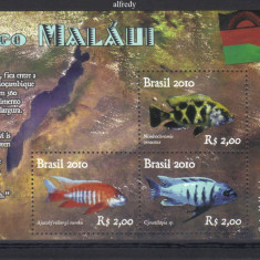 BRAZILIA 2010, Fauna, Pesti, MNH, serie neuzata