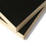 Tego 20Mm Eco / 1220X2440Mm