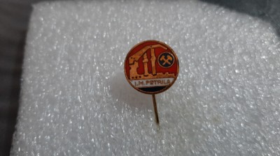 Insigna I M Petrila foto