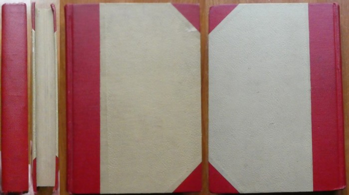 I. Peltz, Israel insangerat, 1946, editia 1