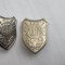 SEMNE DE ARMA MINISTERUL DE INTERNE POLITIA , ARGINTII .