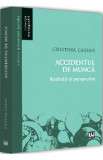 Accidentul de munca. Realitati si perspective - Cristina Casian