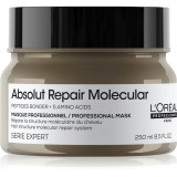L&rsquo;Or&eacute;al Professionnel Serie Expert Absolut Repair Molecular mască profund fortifiantă pentru păr 250 ml