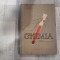 Chimia.Manual pentru clasa a VIII a de I.Risavi,C.Rabega