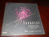 Paganini -Concert Nr.1 &icirc;n Re Major, Concert Nr. 2 &icirc;n Si Minor. Vinil Electrecord