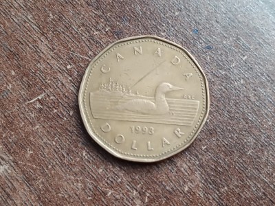 C50 - Moneda foarte veche - Canada - 1 dolar - 1993 foto
