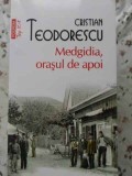 Medgidia, Orasul de Apoi - Cristian Teodorescu, Editura Polirom, 2012, Roman, Beletristica