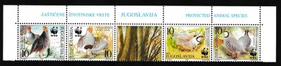Iugoslavia - Fauna WWF - PASARI - MNH foto