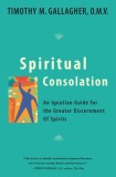 Spiritual Consolation: An Ignatian Guide for the Greater Discernment of Spirits