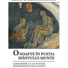 O noapte în pustia Sfântului Munte - Paperback brosat - Mitrop. Ierótheos Vlachos al Nafpaktosului - Sophia