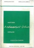 Anatomia Extremitatii Cefalice - Constantin Fatu, Doina Lucia Frincu, Apolonia Iasi 1998, Carte Medicina, 361 Pagini