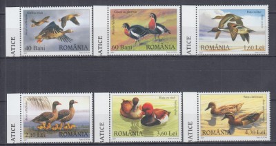 ROMANIA 2007 LP 1771 RATE SI GASTE SALBATICE SERIE MNH foto
