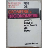 FISE DE GEOMETRIE SI TRIGONOMETRIE PENTRU ELEVI SI ABSOLVENTI DE LICEE-N. GHIRCOIASIU, M. IASINSCHI, A. VIC-337614