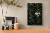 Tablou Canvas, "Flori albe &icirc;n grădină &icirc;ntunecată", Flori, Verdeață, Mister, Natură, Amurg, Contrast, Delicatețe, Grădină, Liniște, Umbră, 26 x 39 cm,