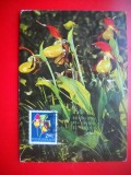 HOPCT MAXIMA ROMANIA NR 1283 PAPUCUL DOAMNEI / CYPRIPEDIUM CALCEOLUS- FLORI/ - -FLORA