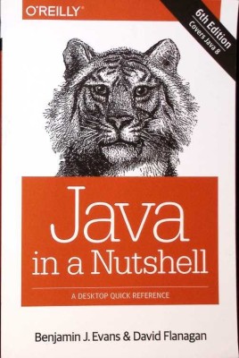 JAVA IN A NUTSHELL-BENJAMIN J. EVANS, DAVIS FLANAGAN-278392 foto