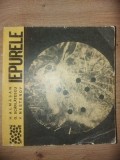 Iepurele- H. Almasan, G. Scarlatescu