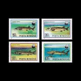 Faună ocrotită - Sturioni, 1994, LP 1359