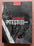 Pitesti. Cronica unei sinucideri asistate. Editura Manuscris, 2017 - Alin Muresan