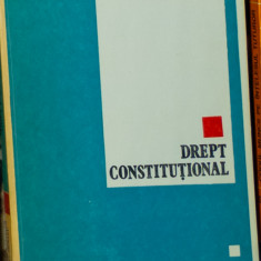 Ichil Benditer - Drept constitutional