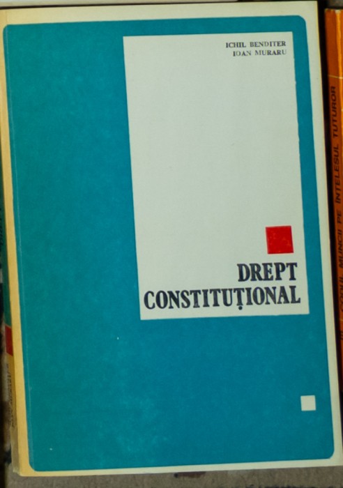 Ichil Benditer - Drept constitutional
