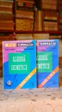 Cumpara ieftin Algebra. Geometrie - Clasa a VIII-a (2 volume) - Anton Negrila, Ion Rosu