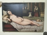 Tablou nud deosebit