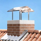 vidaXL Hood pentru co&Egrave; de fum Argintiu 50 x 50 x 37 cm O&Aring;&pound;el inoxidabil 42008434