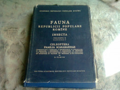 FAUNA REPUBLICII POPULARE ROMANE , INSECTA , VOL.X, FASCICULA 4 - S. PANIN foto