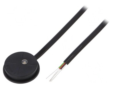 Cititor RFID 12V cu LED Indicator 34x7.8mm foto
