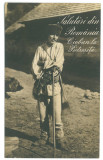436 - PIETROSITA, Dambovita, Cioban, Romania - old postcard - unused, Necirculata, Printata