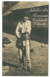 436 - PIETROSITA, Dambovita, Cioban, Romania - old postcard - unused