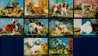 ✅(S3) 1972 UMM Al Qiwain , &amp;quot;Rase de caini&amp;quot; timbre 3D 5.20x4.00 cm , serie completa 10 valori ,MNH foto