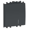 Intrerupator cu Revenire si LED Schneider Easy Styl Negru, 10A, 2 Module