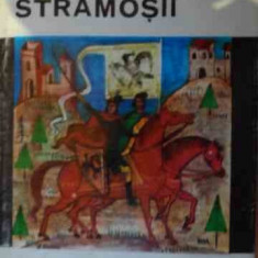 Stramosii - Radu Theodoru ,538865