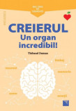 Cumpara ieftin Mic ghid de sănătate: Creierul. Un organ incredibil!