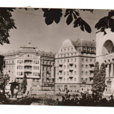 CPIB 19520 CARTE POSTALA - TIMISOARA. PIATA OPEREI, RPR