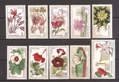 ROMANIA 1965, LP 615 - GRADINA BOTANICA DIN CLUJ, MNH foto