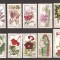 ROMANIA 1965, LP 615 - GRADINA BOTANICA DIN CLUJ, MNH