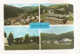 RF75 -Carte Postala - Voineasa, circulata 1982