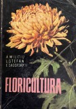 Cumpara ieftin Floricultura A. Militiu,I. Stefan,E. Sadovsky, 1962, Alta editura