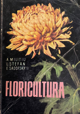 Floricultura A. Militiu,I. Stefan,E. Sadovsky foto