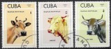 Timbre Cuba 1973 Rase de Bovine Vacă Jersey Charolaise Elvețiană Brună Ștampilat Habana - A007