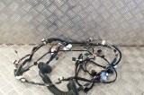 Cablaj ușă st&acirc;nga față TESLA MODEL 3 2018 OEM: 1098697-00-B,1067957-00-E 11322450