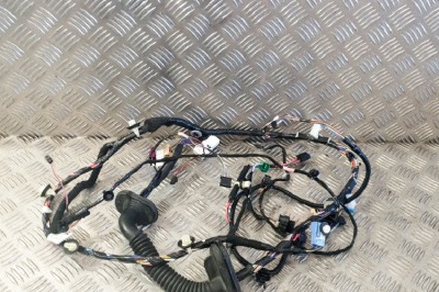 Cablaj ușă st&amp;acirc;nga față TESLA MODEL 3 2018 OEM: 1098697-00-B,1067957-00-E 11322450 foto