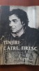 Tinjiri catre firesc Nichita Stanescu