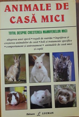 ANIMALE DE CASA MICI - MARGIE WILSON foto